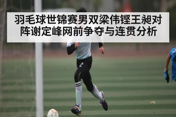羽毛球世锦赛男双梁伟铿王昶对阵谢定峰网前争夺与连贯分析