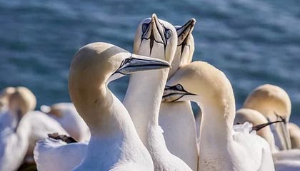 声音丨比金牌更闪亮的是人性之光|朱雨玲|多哈|陈振江|韩莹|王曼昱_新浪体育_新浪新闻